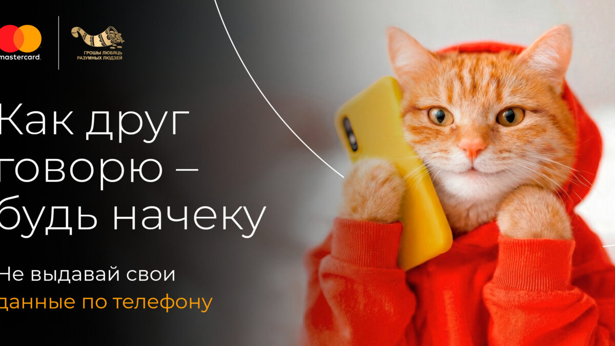Кот